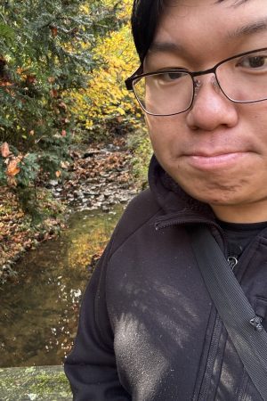 David Chau